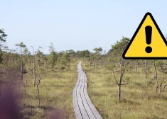 Uzsākti labiekārtošanas darbi Dunikas purva takā