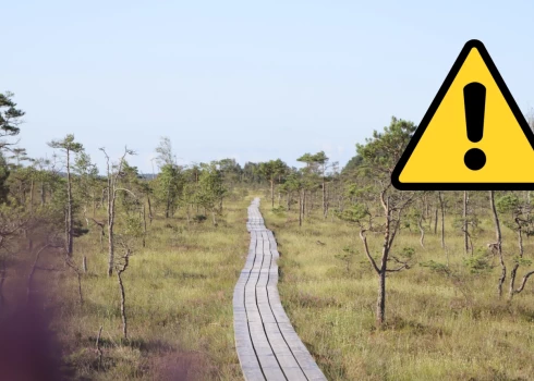 Taku izveidojuši Latvijas valsts meži, un tā ved cauri Dunikas tīrelim – plašam purvam ar vairākām labiekārtotām atpūtas vietām.