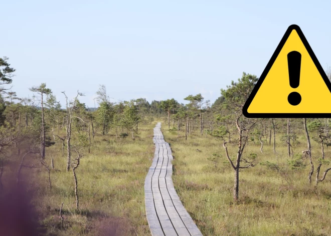 Uzsākti labiekārtošanas darbi Dunikas purva takā