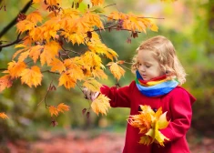 Осень готовит сюрприз: какую погоду принесет начало ноября