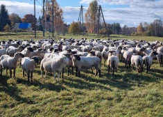 Mazie un jaunie zemnieki – Latvijas lauku nākotnes pamats. Kāds viņiem pieejams atbalsts?