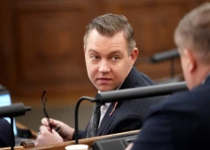 ZZS neplāno mainīt savu nostāju par Stambulas konvenciju