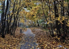 В субботу местами выглянет солнце