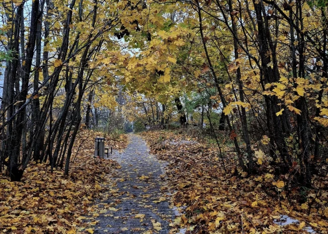 В субботу местами выглянет солнце