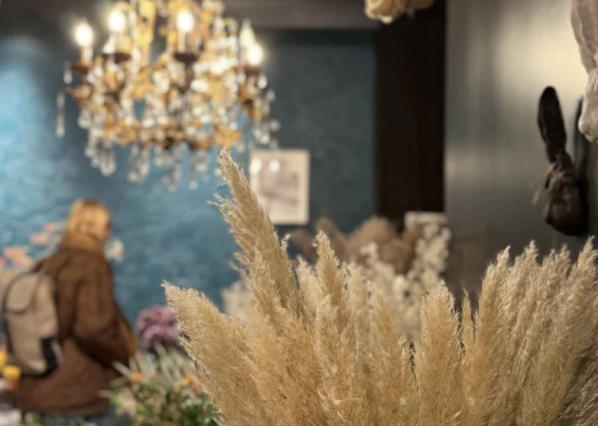 Tērbatas ielā atrodas veikals, kurā rudens ienācis pa īstam.