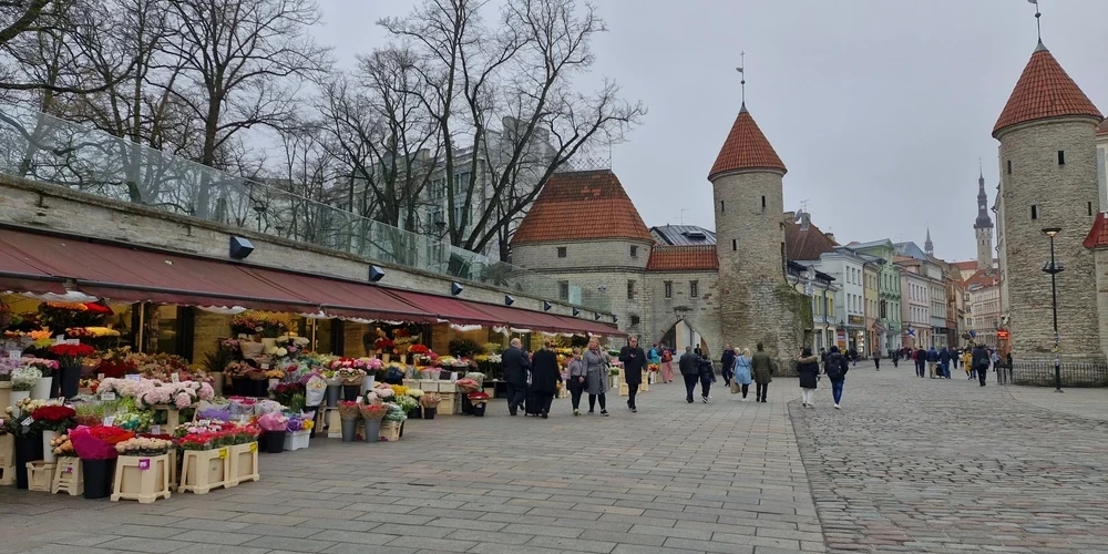 В Эстонии все чаще говорят не по-эстонски.