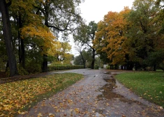 Первый день ноября в Латвии будет пасмурным