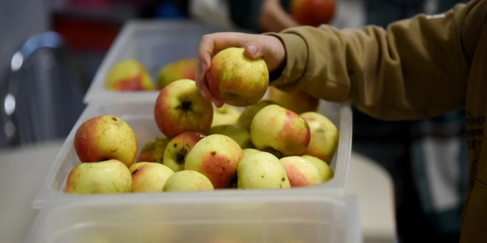 Ilustratīvs attēls.