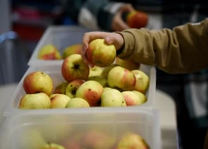 Šogad par trešdaļu audzis trešo valstu pilsoņu skaits, kas Latvijā pieteicies vecāku pabalstiem