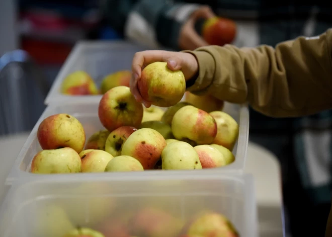Šogad par trešdaļu audzis trešo valstu pilsoņu skaits, kas Latvijā pieteicies vecāku pabalstiem