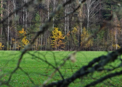 Ilustratīvs attēls.