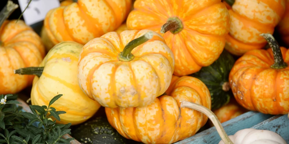 Ķirbji Rīgas Centrāltirgū.