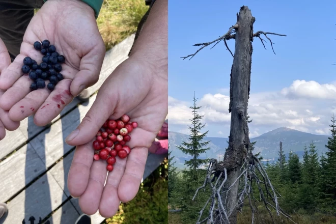 Hradeckrāloves apgabals apbur ar savu daudzveidību.