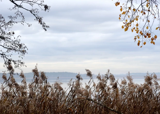В воскресенье ожидается пасмурная погода с дождями