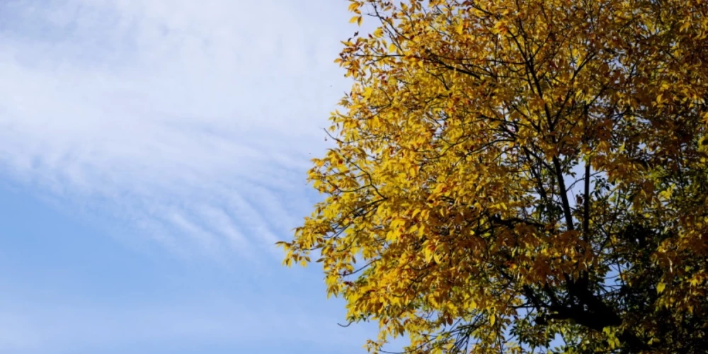 Jauna nedēļa sāksies ar pelēku pirmdienu. 