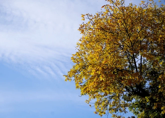 Jauna nedēļa sāksies ar pelēku pirmdienu