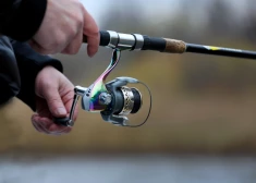 Noķēri zivi jūrā - atskaities! Par noteiktām izmakšķerētajām zivju sugām būs jāziņo