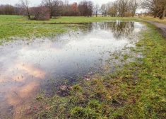 Dārzs un zāliens ūdenī. Lai stāv - vai tomēr novadīt?