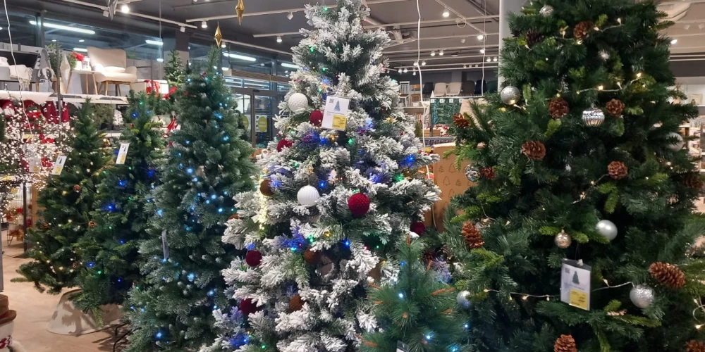 Искусственные рождественские елки появились в латвийских магазинах за два месяца до праздника.