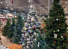 "А как же День Лачплесиса и 18 ноября?" Почему Рождество в магазинах Латвии начинается уже в ноябре