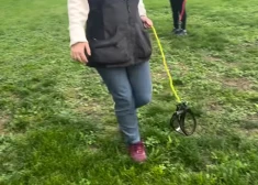 В мире набирает популярность странное хобби - прогулки с невидимыми собаками