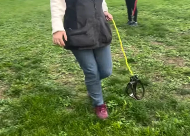 В мире набирает популярность странное хобби - прогулки с невидимыми собаками