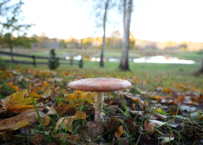 Пасмурное начало недели и сухие выходные: синоптики рассказали, когда погода улучшится