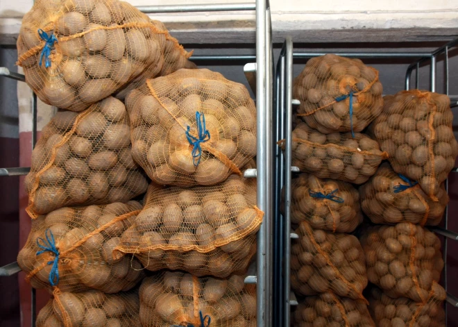 Latvijas kartupeļi peld dubļos, bet poļu - peļņā. Kas vainīgs?