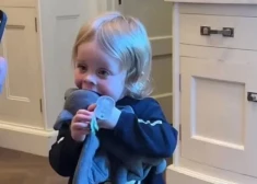 Kellijas Osbornas trīsgadīgais dēls nokož galvu sikspārnim - tāpat kā opis Ozijs