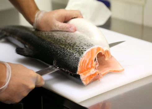 Ilustratīvs attēls.