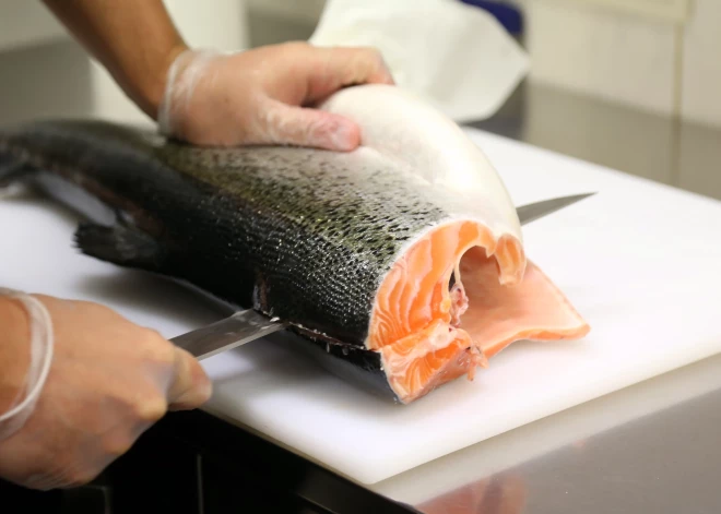 Vai tiešām lasis ir tik veselīgs, kā mēdz uzskatīt? Dietologi nosauc tā galvenos konkurentus