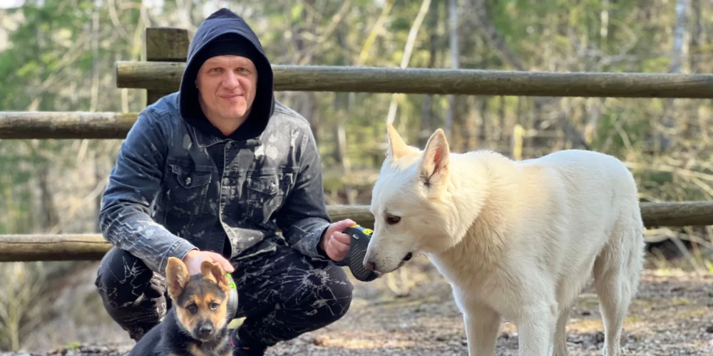 Sisī ir Austrumsibīrijas aitu suns, Baldurs ir Šveices aitu suņa un haskija jauktenis. Abi ir ganu suņi un uzmana savu baru. Ejot pastaigāt lielākā kompānijā, viņi vienmēr pieskata saimniekus.