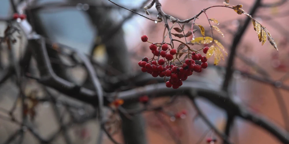 Otrdien Latvijā brīžiem līs.