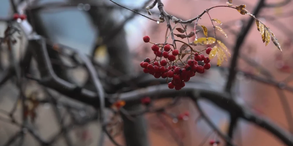 Во вторник в Латвии временами пройдут дожди.