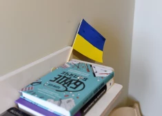 Латвия пересмотрит программу поддержки украинских беженцев: акцент сместится на латышский язык и адаптацию