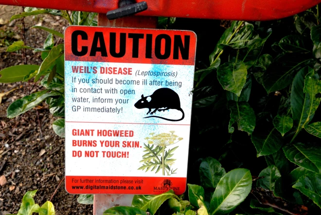 Arī Rietumeiropā piesargājas no leptospirozes un sērgas apdraudētajos rajonos izliek brīdinājuma zīmes (attēlā: kāda brīdinājuma zīme Anglijas laukos 2013. gadā).