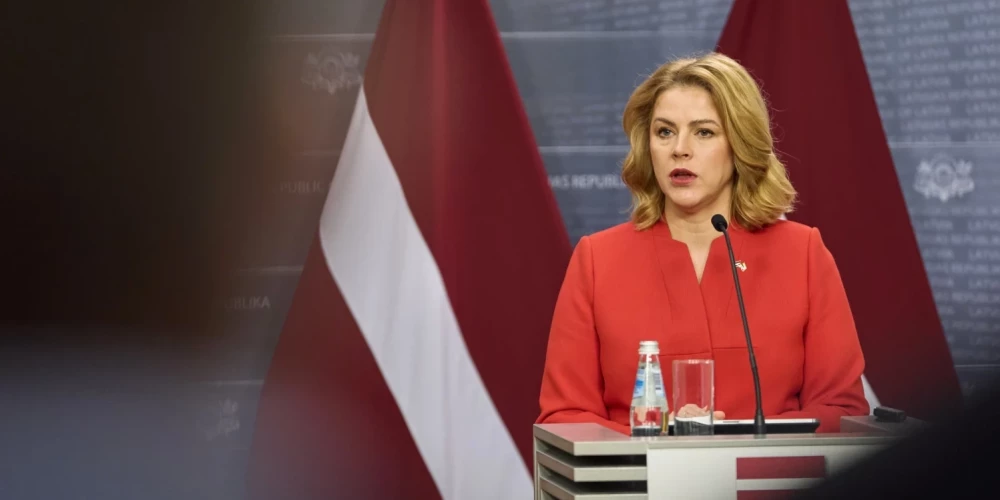 Силиня предложила передать спорный вопрос о Стамбульской конвенции новому Сейму.