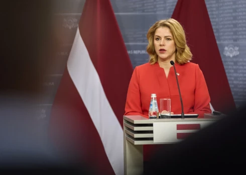 Силиня предложила передать спорный вопрос о Стамбульской конвенции новому Сейму.