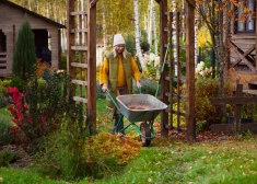 Kāpēc rudens lapas nav atkritumi, un kā ar tām rīkoties pareizi