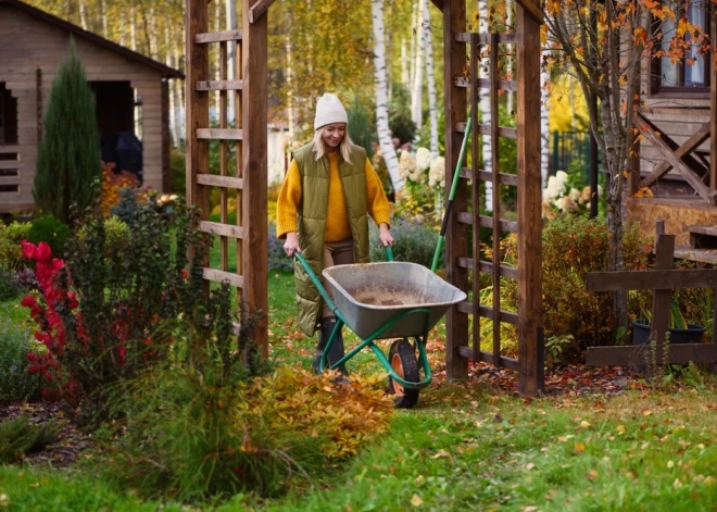 Kāpēc rudens lapas nav atkritumi, un kā ar tām rīkoties pareizi