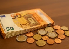 Пока одни еле-еле живут на пенсии, другие получают премии: чиновникам добавили еще полмиллиона евро