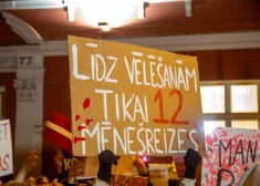 Нацобъединение поддерживает призыв президента передать решение по Стамбульской конвенции следующему Сейму