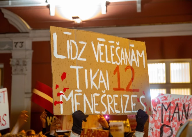 Нацобъединение и "Объединенный список" поддерживают призыв президента передать решение по Стамбульской конвенции следующему Сейму