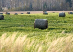 Оказывается, солнца было больше, чем обычно: метеорологи подвели итоги октября
