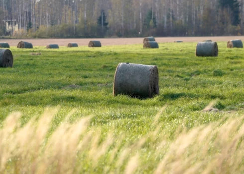 Октябрь в Латвии прошёл без морозов и рекордов.