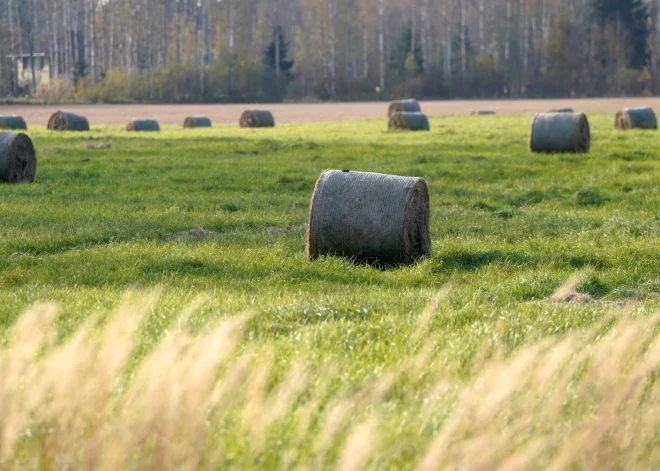 Оказывается, солнца было больше, чем обычно: метеорологи подвели итоги октября