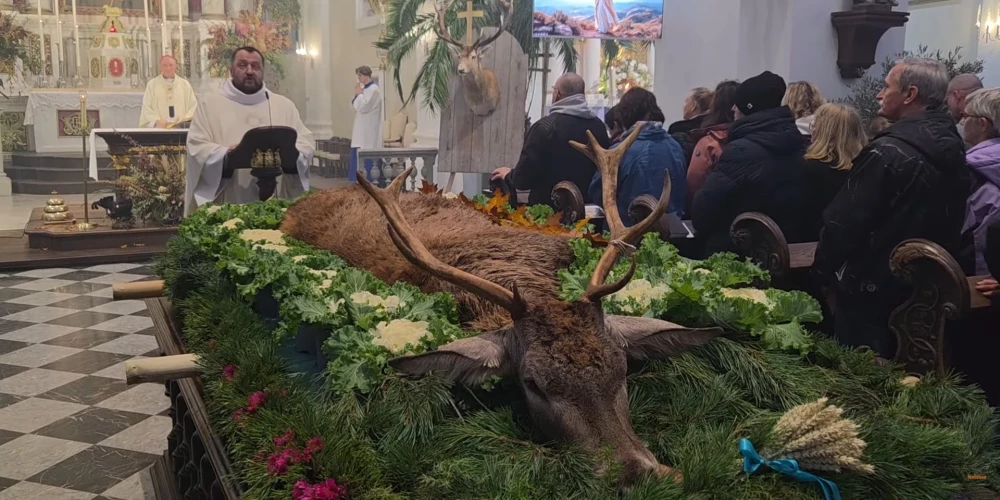 Тело убитого животного в храме: соцсети спорят о границах допустимого.