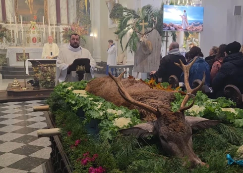 Тело убитого животного в храме: соцсети спорят о границах допустимого.