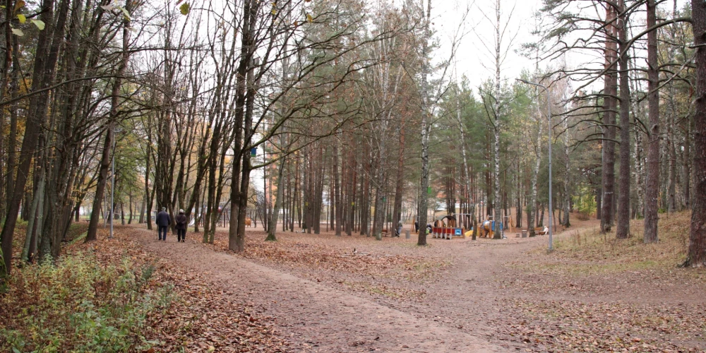 Иллюстративное фото.