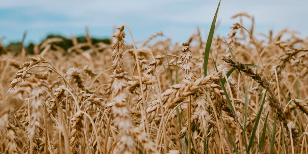 Lai palielinātu zemes auglību, valsts piedāvā vairākas subsīdiju programmas. 